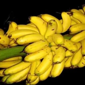 pisang uli 1 Tandan besar