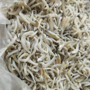 Teri Nasi 1 Kg ( teri medan) 1kg