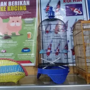 kandang LoveBird