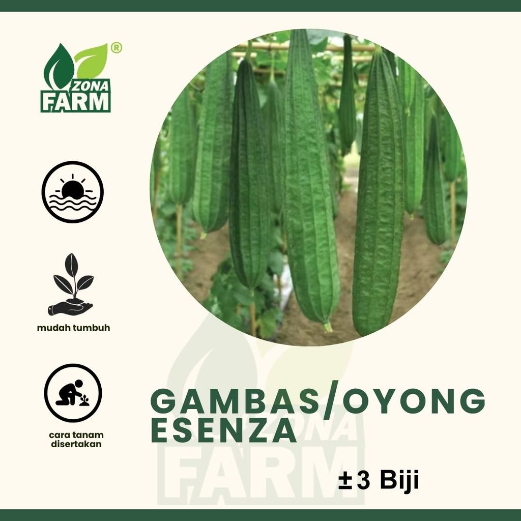 Benih Gambas/Oyong Esenza Unggul 3 Biji