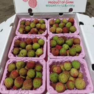 Leci Madu Hijau (pack) /500 gr 500g