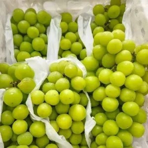 Anggur hijau muscat 1kg