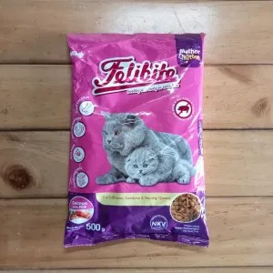 Felibite Mother & Kitten