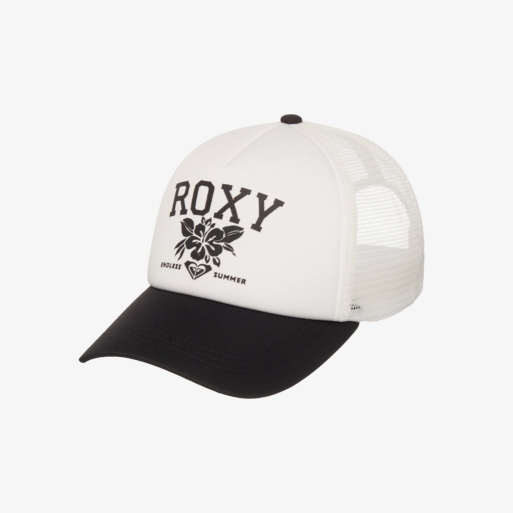 Roxy Gold Dust Girl Cap Anthracite ERJHA04474