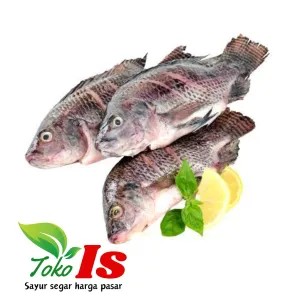 Ikan Mujair 1 kg