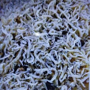 Teri Tawar Medan 100g