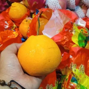 JERUK DEKOPON 1KG 1kg