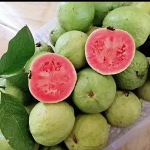 JAMBU BIJI MERAH 1kg
