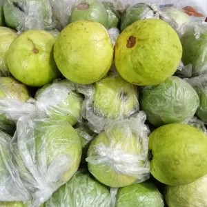 Jambu Biji Merah 1kg