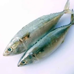 Ikan kembung banjar 1kg