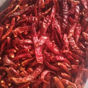 Cengek japlak kering 100g