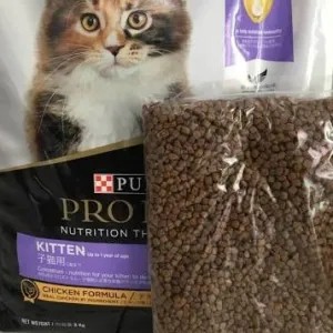 Proplan Kitten