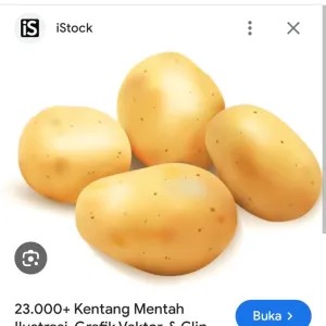 kentang dieng 1kg