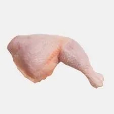 paha atas bawah ayam segar