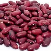kacang merah kering
