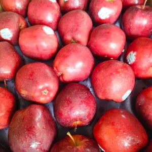 Apel Merah 1kg