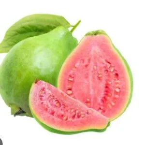 Jambu biji MERAH 1kg