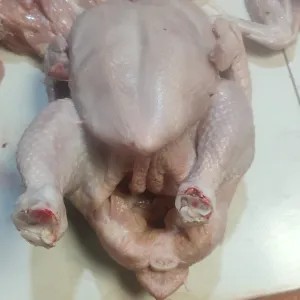Karkas Ayam Kecil 1 Kg 1kg