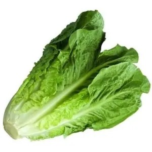 Slada Romaine/Selada Bandung 250g