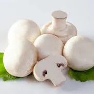 Jamur Kancing 1/4 kg