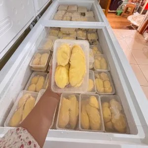 Durpas Montong Palu Parigi manis