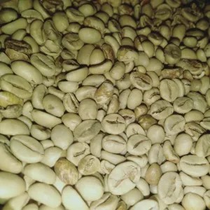 Kopi wungkul 500g