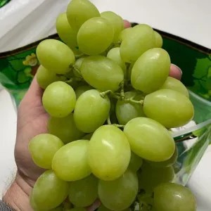 anggur hijau tanpa biji 1kg