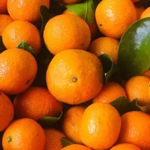 Jeruk santang Madu 1kg