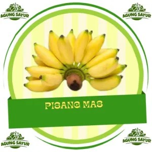 Pisang Mas