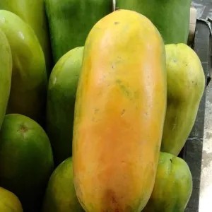 pepaya  kuning California 1kg