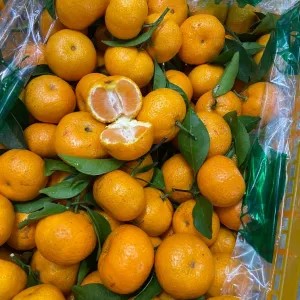 Jeruk santang birma (1kg)