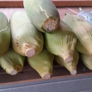 Jagung manis 1kg
