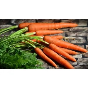 Wortel 1kg