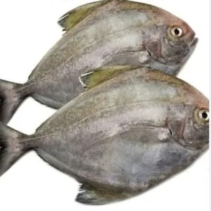 IKAN BAWAL 500g+ BUMBU IKAN BAKAR +BAHAN SAMBAL KECAP