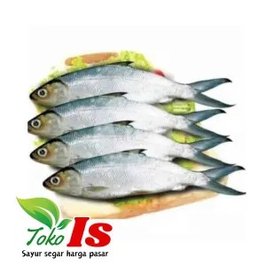 Ikan Bandeng 1 kg