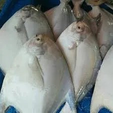 Ikan bawal putih 1kg
