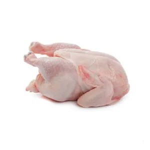 Ayam Pejantan 1kg