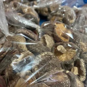 Jamur Hioko/Shintake Kering 100g