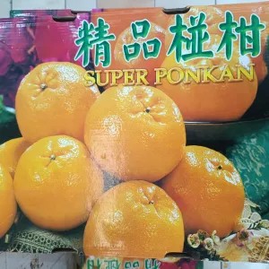 SUPER PONKAM isi 20 pcs 1per pack