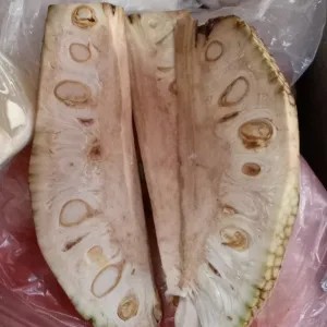 Nangka Muda / Tewel per pcs