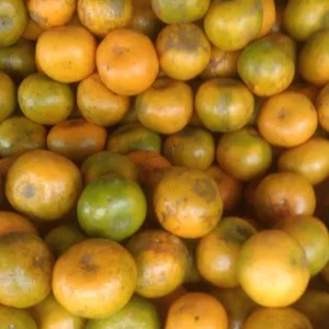 JERUK KINTAMANI ,/ JERUK BALI 1kg