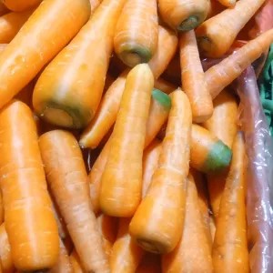 WORTEL MEDAN BERASTAGI