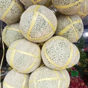 melon sakata 1.9kg