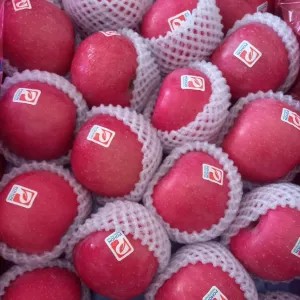 Apel Fuji Premium Pohon 1Kg