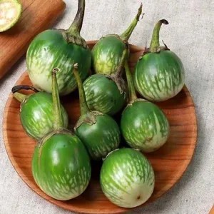Terong hijau bulat / terong lalapan 1kg