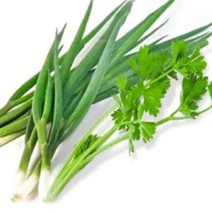 daun bawang+seledri