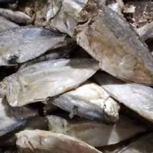 ikan asin peda buntung