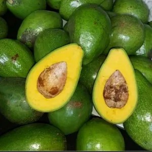 BUAH ALPUKAT MENTEGA 1Kg