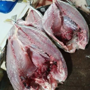 IKAN KUWE BELAH BAKAR FRESH + BUMBU BAKAR IKAN
