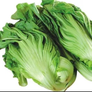 Sawi Pahit / kuacai / jabung 250gr